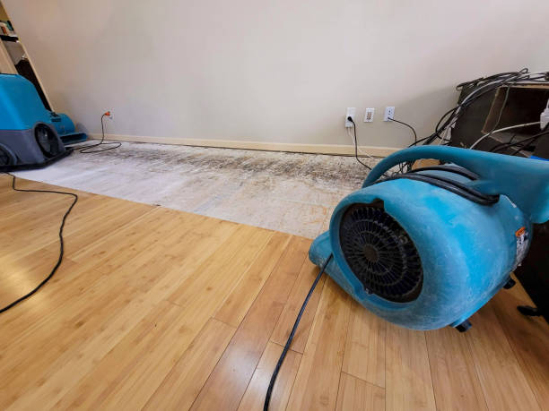 Professional Basement Flood Cleanup technician working in Bonita Springs, FL